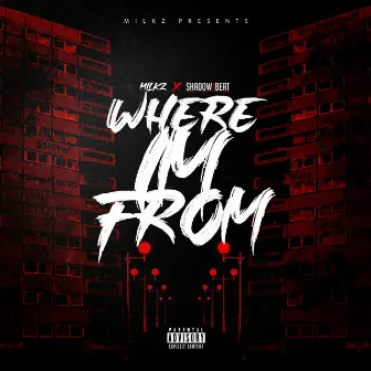 Where I'm From by Shadow on the Beat