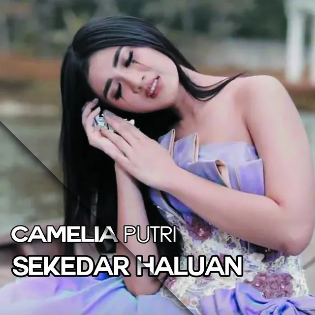 Sekedar Haluan