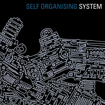 Self Organising System by System