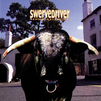 Mezcal Head by Swervedriver