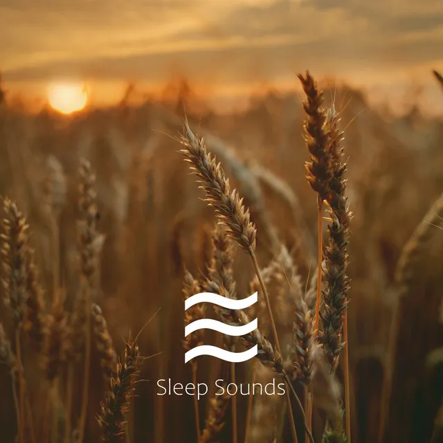 Placid Noise for Sleep