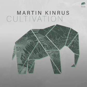 Cultivation by Martin Kinrus