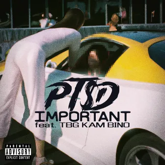 Important by PT$D