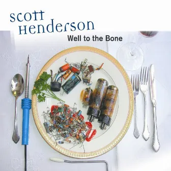 Well To The Bone by Scott Henderson