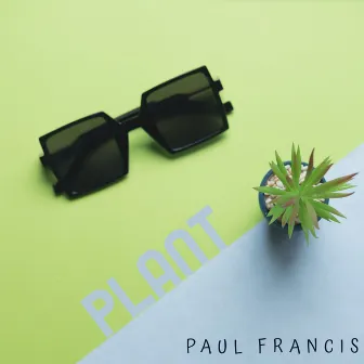 Plant by Paul Francis