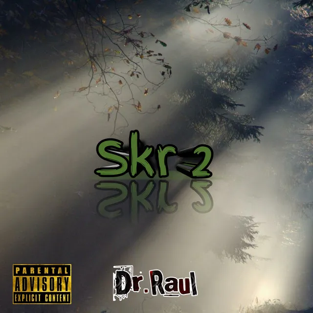 Skr 2