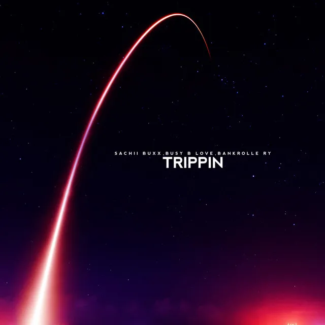 Trippin' Remix - Remix