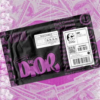 Pack Came In by Diany Dior