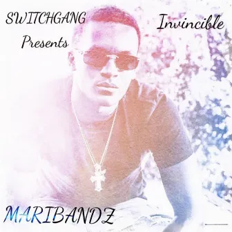 Invincible by Switchgang