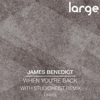 When You're Back by James Benedict