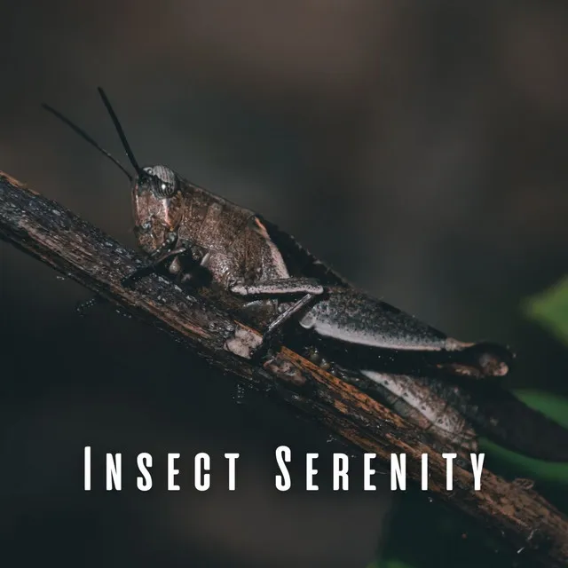 Insect Serenity: Meditative Ocean Waves with Chill Music