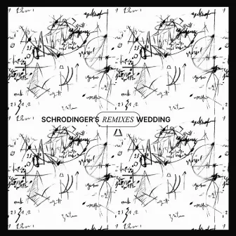 Schrodinger's Wedding (Remixes) by Nomusicians