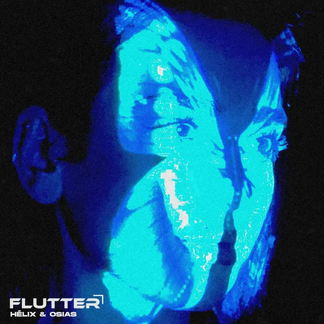 Flutter