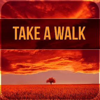 Take a Walk – Relax Yourself, Music with Nature Sounds to Chill Out, Yoga & Tai Chi Deep Relaxation by Unknown Artist