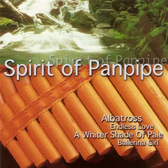 Spirit of Panpipe by The Gino Marinello Orchestra