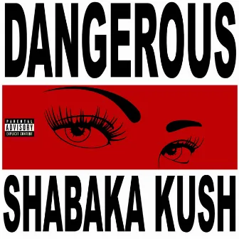 Dangerous by Shabaka Kush