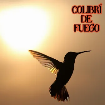 Colibrí de Fuego by Ricardo Flecha