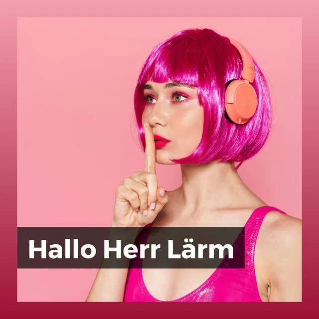 Hallo Herr Lärm