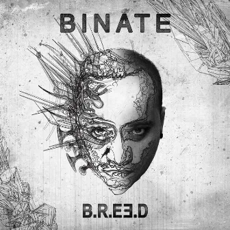 Binate by B.R.E.E.D