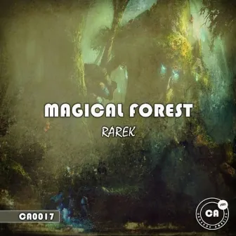 Magical Forest by Rarek