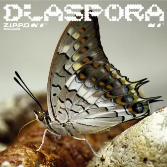 Diaspora by Z.I.P.P.O