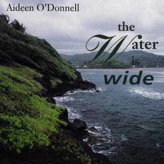 The Water Is Wide by Aideen O'Donnell