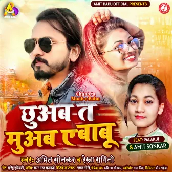 Chuab ta Muab e Babu by Amit Sonkar