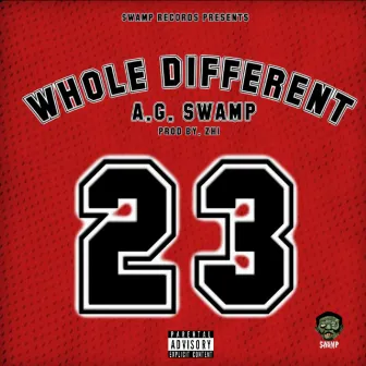 WHOLE DIFFERENT by A.G. SWAMP