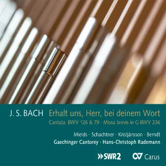 Johann Sebastian Bach: Erhalt uns, Herr, bei deinem Wort by Gaechinger Cantorey