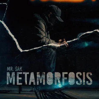 Metamorfosis by Unknown Artist