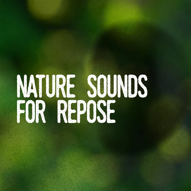 Nature Sounds for Repose