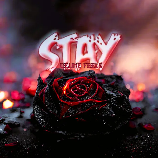 Stay