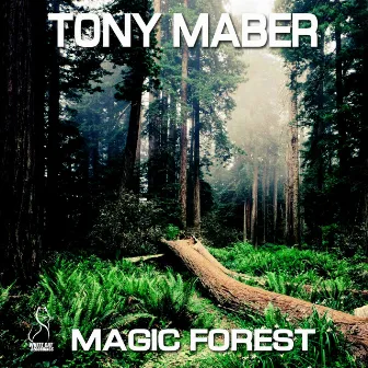 Magic Forest by Tony Maber