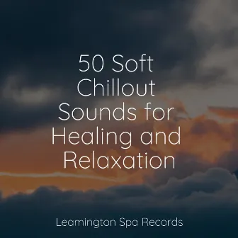 50 Soft Chillout Sounds for Healing and Relaxation by Study Concentration