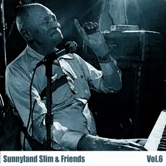 Sunnyland Slim & Friends, Vol. 6 by Sunnyland Slim