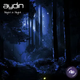 Night in Night by Aydin