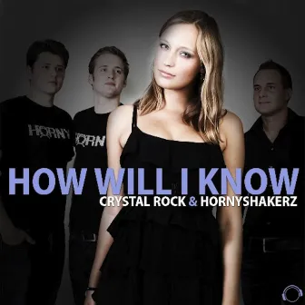 How Will I Know by Unknown Artist