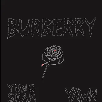 Burberry by Yawn & Yung $ham