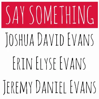 Say Something by Joshua David Evans