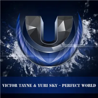 Perfect World by Victor Tayne