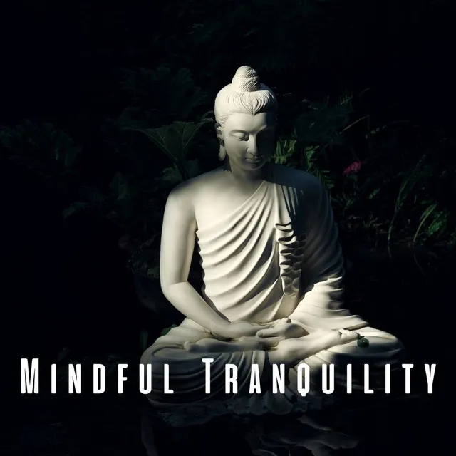 Mindful Tranquility: Meditation with Ambient Music