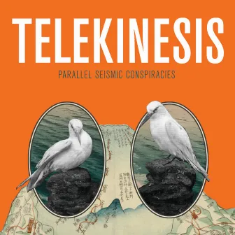 Parallel Seismic Conspiracies by Telekinesis