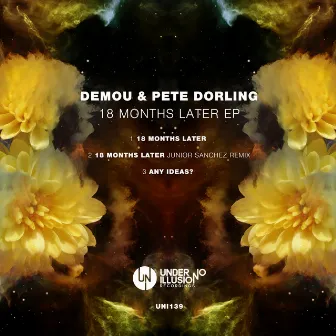 18 Months Later EP by DEMOU