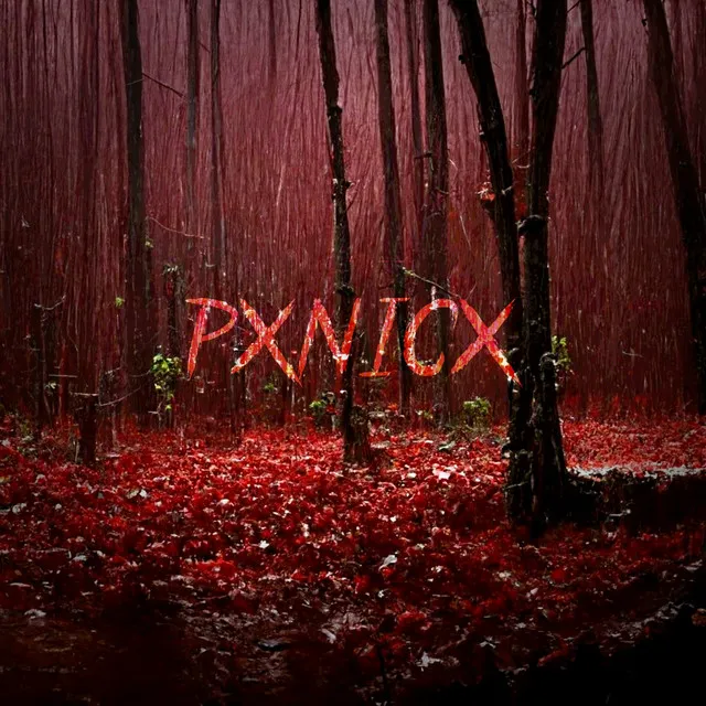 Pxnicx