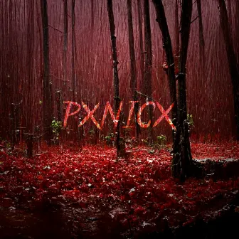 Pxnicx by 