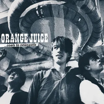 Coals to Newcastle by Orange Juice