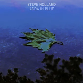 Adda In Blue by Steve Nolland