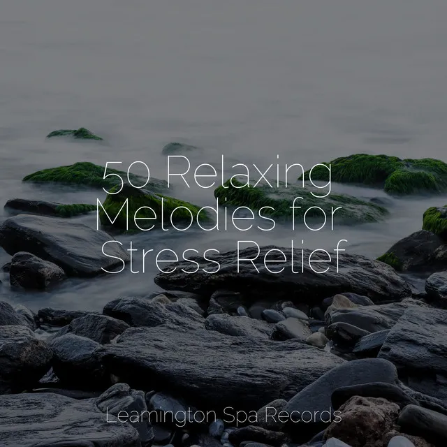 50 Relaxing Melodies for Stress Relief