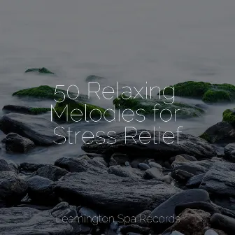 50 Relaxing Melodies for Stress Relief by Gentle Rain Makers