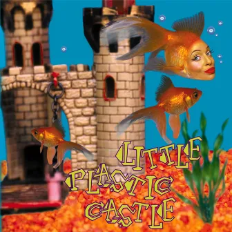 Little Plastic Castle by Ani DiFranco